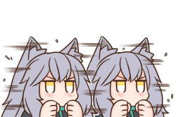 Rule 34 | 1girl, afterimage, animal ear fluff, animal ears, arknights, black shirt, blush, clenched hands, female focus, grey hair, guin guin, lowres, projekt red (arknights), shirt, simple background, speed lines, upper body, v-shaped eyebrows, white background, yellow eyes