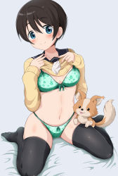 Rule 34 | 1girl, absurdres, black hair, black thighhighs, blue eyes, blush, bow, bow bra, bow panties, bra, breasts, chihuahua, chikuwa (yurucamp), cleavage, closed mouth, clothes lift, collarbone, dog, eggman (pixiv28975023), green bra, green panties, groin, highres, lifted by self, lingerie, looking at viewer, medium breasts, navel, necktie, panties, saitou ena, school uniform, shirt lift, short hair, simple background, smile, thighhighs, underwear, white background, yurucamp