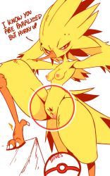 Rule 34 | 1girl, animated, animated gif, armpits, arms behind head, arms up, artist name, beak, blush, breasts, claws, cleft of venus, clitoris, creatures (company), diives, electricity, english text, female focus, furry, furry female, game freak, gameplay mechanics, gen 1 pokemon, half-closed eyes, legendary pokemon, looking at viewer, nintendo, nipples, nude, personification, piercing, poke ball, pokemon, pokemon (creature), pokemon go, pokemon rgby, pussy, red eyes, signature, simple background, small breasts, solo, spread legs, standing, tail, text focus, uncensored, white background, wings, zapdos