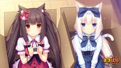 Rule 34 | 10s, 2girls, :&lt;, animal ears, ascot, black hair, blue eyes, blunt bangs, blush, bow, bowtie, box, breasts, brooch, brown eyes, buttons, cat ears, cat tail, chocola (nekopara), clenched hands, copyright name, corset, cross-laced clothes, dress, frilled dress, frills, game cg, hair bow, hair ribbon, in box, in container, indoors, jewelry, light particles, logo, lolita fashion, long hair, looking at viewer, low twintails, multiple girls, nekopara, original, pink hair, pinstripe pattern, polka dot, ribbon, ribbon trim, sayori (neko works), sidelocks, sitting, slit pupils, small breasts, striped, tail, tail ornament, tail ribbon, tile floor, tiles, twintails, v arms, vanilla (nekopara), very long hair, white hair, wrist cuffs