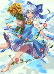 Rule 34 | 1girl, barefoot, blue bow, blue dress, blue eyes, blue hair, bow, cirno, day, dress, flower, hidden star in four seasons, holding, ice, ice wings, natori youkai, plant, sky, solo, sunflower, tan, tanned cirno, touhou, vines, wings