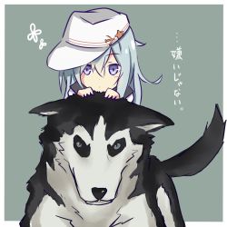 Rule 34 | 10s, 1girl, blue eyes, coco3186, dog, hammer and sickle, hat, hibiki (kancolle), kantai collection, looking at viewer, lowres, riding, silver hair, star (symbol), translated, verniy (kancolle)