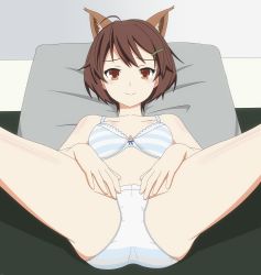 Rule 34 | 1girl, absurdres, animal ears, ass, blush, bra, brave witches, breasts, brown eyes, brown hair, closed mouth, collarbone, hair ornament, hairclip, highres, karibuchi hikari, looking at viewer, lying, on back, panties, shiny skin, short hair, small breasts, smile, solo, spread legs, squirrel ears, striped bra, striped clothes, underwear, underwear only, white panties, world witches series