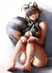 Rule 34 | 1girl, animal ears, antenna hair, bare arms, barefoot, blazblue, breasts, brown eyes, brown hair, chabo tatumi, crop top, hands on own knees, highres, large breasts, makoto nanaya, multicolored hair, parted lips, revealing clothes, short hair, sitting, squirrel ears, squirrel girl, squirrel tail, tail, two-tone hair, underboob