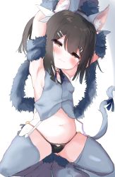 Rule 34 | 1girl, animal ears, animal hands, armpits, arms behind head, arms up, bad id, bad pixiv id, bare shoulders, bell, black hair, black panties, blue ribbon, blush, breasts, brown eyes, cat ears, cat tail, closed mouth, covered erect nipples, dangeroes beast (miyu), fate/kaleid liner prisma illya, fate (series), feather hair ornament, feathers, garter straps, gloves, grey thighhighs, grey vest, hair ornament, hairclip, highres, jingle bell, long hair, looking at viewer, miyu edelfelt, navel, nipples, panties, paw gloves, paw shoes, ribbon, shoes, simple background, small breasts, solo, squatting, tail, thighhighs, thighs, twintails, underwear, vest, white background, yinpa (wanone500511)