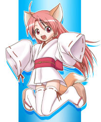 Rule 34 | 1boy, ahoge, animal ears, child, flat chest, fox ears, fox tail, full body, gradient background, japanese clothes, kimono, long hair, long sleeves, male focus, negi springfield, panties, pink hair, red eyes, sleeves past wrists, solo, tabi, tail, thighhighs, trap, underwear