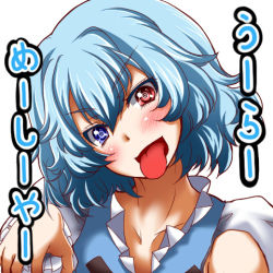 Rule 34 | 1girl, :p, @ @, blue eyes, blue hair, blush, female focus, head tilt, heterochromia, long sleeves, looking at viewer, lowres, matching hair/eyes, open mouth, red eyes, short hair, simple background, solo, tatara kogasa, tongue, tongue out, touhou, translation request, upper body, white background, zan (harukahime)