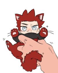 Rule 34 | 1boy, animal ears, blue eyes, blush, boku no hero academia, cat boy, cat ears, cat tail, chibi, dokonodoitsuya, endeavor (boku no hero academia), facial hair, kemonomimi mode, looking at viewer, lying, male focus, motion lines, mustache stubble, no scar, on back, paw pose, pov adoring, red fur, solo focus, spiked hair, stubble, tail