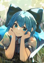 Rule 34 | 1girl, arm support, blue bow, blue eyes, blue hair, blue skirt, blue vest, blush, bow, cirno, closed mouth, commentary, frog, frozen, grass, hair bow, hands on own cheeks, hands on own face, head rest, highres, ice, kurowa (curowa), looking at animal, lying, neck ribbon, on stomach, puffy short sleeves, puffy sleeves, red ribbon, ribbon, shirt, short hair, short sleeves, skirt, skirt set, smile, touhou, upper body, v-shaped eyebrows, vest, white shirt
