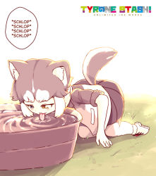Rule 34 | 1girl, all fours, animal ears, day, dog (mixed breed) (kemono friends), dog ears, dog tail, drinking, female focus, fur-trimmed sleeves, fur trim, grass, grey fur, grey hair, grey jacket, grey skirt, heterochromia, jacket, kemono friends, multicolored clothes, multicolored hair, multicolored jacket, on grass, open clothes, open jacket, outdoors, parted bangs, shoes, short sleeves, skirt, sneakers, solo, tail, tongue, tongue out, two-tone fur, two-tone hair, two-tone jacket, tyrone, water, white footwear, white fur, white hair, white jacket