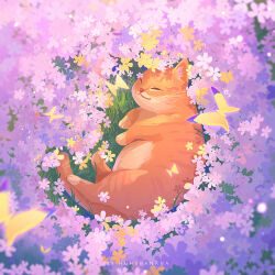 Rule 34 | :3, bug, butterfly, cat, closed eyes, fat, flower, from side, grass, happy, highres, huhv., insect, lying, no humans, on grass, on side, orange cat, original, purple flower, signature, sleeping, smile, whiskers