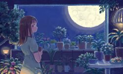 Rule 34 | 1girl, absurdres, bowl, brown eyes, brown hair, closed mouth, coma (ina co ma), commentary, dress, english commentary, flower, flower pot, from side, full moon, highres, holding, holding flower pot, indoors, lamp, light blue dress, long hair, looking at viewer, looking back, moon, moonlight, night, night sky, orange flower, original, pink flower, plant, potted plant, profile, purple flower, red flower, round table, short sleeves, sideways glance, sky, solo, table, tree, window, yellow flower