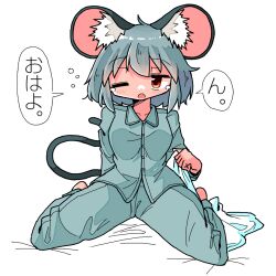 Rule 34 | 1girl, animal ear fluff, animal ears, arms behind back, blanket, blush, breasts, dot nose, grey hair, hatching (texture), holding, holding blanket, kasuya baian, linear hatching, looking to the side, medium breasts, medium hair, mouse ears, mouse girl, mouse tail, nazrin, one eye closed, open mouth, pajamas, red eyes, simple background, sitting, solo, speech bubble, squeans, tail, tearing up, touhou, translated, white background