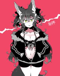 Rule 34 | 1girl, :p, animal ears, breasts, commentary request, crossed bangs, green eyes, greyscale, hair between eyes, hands in pockets, highres, jacket, kuromiya, kuromiya raika (kuromiya), long hair, long sleeves, medium breasts, monochrome, navel, original, red background, simple background, solo, tail, thighs, tongue, tongue out, zipper