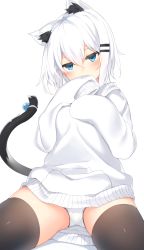 Rule 34 | 1girl, animal ear fluff, animal ears, bangs, black legwear, blue eyes, blush, breasts, cat ears, cat girl, cat tail, collarbone, covered mouth, covering mouth, eyebrows visible through hair, hair between eyes, hair ornament, hairclip, hands up, highres, hood, hood down, hoodie, long sleeves, looking at viewer, original, otokuyou, panties, pantyshot, ringo-chan (otokuyou), short hair, simple background, sitting, skirt, sleeves past wrists, solo, tail, tail raised, thighhighs, underwear, white background, white hair, white hoodie, white panties