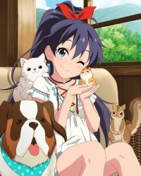 Rule 34 | 10s, 1girl, animal, antenna hair, artist request, black hair, blue eyes, cat, collarbone, day, dog, earrings, ganaha hibiki, hamuzou, idolmaster, idolmaster (classic), idolmaster million live!, idolmaster million live! theater days, inumi, jewelry, long hair, looking at viewer, necklace, official art, one eye closed, ponytail, sitting, smile, solo, squirrel, tree, window