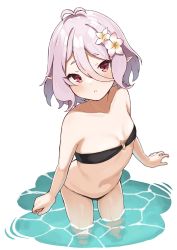 Rule 34 | 1girl, absurdres, bikini, black bikini, breasts, flower, hair between eyes, hair flower, hair ornament, highres, kokkoro (princess connect!), looking at viewer, paid reward available, pink hair, pointy ears, princess connect!, simple background, small breasts, solo, standing, swimsuit, wading, wanimaru, water, white background