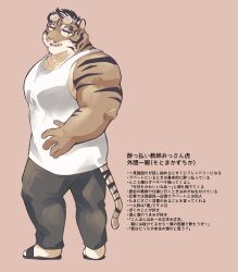 Rule 34 | 1boy, animal ears, bara, black hair, black pants, blush, eyewear on head, full body, furry, furry male, highres, male focus, open mouth, orange eyes, orange fur, original, osukemo apartment (sawch cls), pants, pectorals, sandals, sawch cls, short hair, simple background, socks, solo, sotoma kazuchika (sawch cls), tail, tank top, thick arms, thick thighs, thighs, tiger boy, tiger ears, tiger stripes, tiger tail, translation request, two-tone fur, white fur, white hair, white socks, white tank top