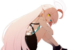 Rule 34 | 1girl, ahoge, black footwear, black skirt, blue archive, blue eyes, blue necktie, blush, fang, halo, heterochromia, highres, hoshino (blue archive), hugging own legs, knees up, long hair, long sleeves, looking at viewer, looking to the side, necktie, open mouth, pink hair, pleated skirt, shirt, shirt tucked in, shoes, simple background, sitting, skin fang, skirt, smile, sneakers, socks, solo, tsukamoto minori, very long hair, white background, white shirt, white socks, yellow eyes