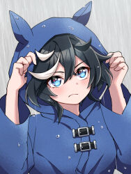 1girl animal_ears animal_hood arms_up black_hair blue_coat blue_eyes closed_mouth coat fake_animal_ears frown hair_between_eyes hood horse_ears horse_girl horse_hood katsuragi_ace_(umamusume) long_sleeves looking_at_viewer medium_hair multicolored_hair prtn_(ttnx) rain raincoat solo streaked_hair umamusume upper_body wet wet_clothes white_coat white_hair