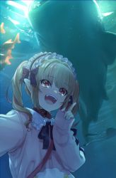 Rule 34 | 1girl, air bubble, animal, aqua nails, aquarium, black ribbon, blue theme, bubble, collar, fish, fish tank, frilled collar, frilled hairband, frills, grey hair, hair ribbon, hairband, highres, index finger raised, lolita hairband, long hair, looking at viewer, makaino ririmu, manta ray, multicolored hair, nail polish, neck ribbon, nijisanji, open mouth, pink hair, pink sweater, pointy ears, red collar, red eyes, ribbon, sabamen, selfie, sidelocks, sleeves past wrists, smile, streaked hair, sweater, teeth, twintails, two-tone hair, underwater, upper body, upper teeth only, virtual youtuber, water, whale shark, white collar