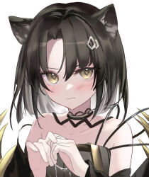 Rule 34 | 1girl, animal ears, arknights, bare shoulders, black hair, black shirt, blush, cat ears, cat girl, closed mouth, collarbone, dot nose, forehead, highres, looking at viewer, mandragora (arknights), own hands together, parted bangs, portrait, raramente, shirt, simple background, solo, strapless, strapless shirt, white background, yellow eyes