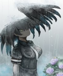 Rule 34 | 1girl, adeshi (adeshi0693119), arms at sides, belt, bird wings, breast pocket, breasts, closed mouth, collared shirt, day, dripping, feathered wings, flower, grey hair, grey necktie, grey shirt, grey shorts, hair over one eye, head wings, highres, hydrangea, kemono friends, layered sleeves, long sleeves, looking up, medium hair, necktie, outdoors, parted bangs, pocket, purple flower, rain, shirt, shoebill (kemono friends), short over long sleeves, short sleeves, shorts, snail, solo, upper body, wet, wet clothes, wet hair, wing collar, wings