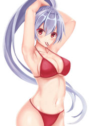 Rule 34 | 1girl, adjusting hair, armpits, arms up, bikini, blush, breasts, cleavage, collarbone, fate/grand order, fate (series), hair between eyes, large breasts, long hair, looking at viewer, mouth hold, navel, ponytail, red bikini, red eyes, ryuunonon, silver hair, simple background, solo, swimsuit, tomoe gozen (fate), very long hair, white background