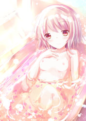 Rule 34 | 1girl, bath, bathing, bathtub, blush, breasts, brown eyes, brown hair, closed mouth, collarbone, commentary request, day, hand up, head tilt, indoors, knee up, looking at viewer, nipples, nude, original, partially submerged, petals, petals on liquid, shihou haru, small breasts, smile, solo, sunlight, water
