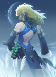 Rule 34 | 1boy, absurdres, back, back cutout, blonde hair, clothing cutout, detached sleeves, from behind, frostbite set (zelda), fur trim, highres, link, looking at viewer, looking back, moon, night, nintendo, official alternate costume, pointy ears, sasha tudvaseva, solo, standing, sword, the legend of zelda, the legend of zelda: tears of the kingdom, weapon, wheat field