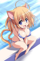 Rule 34 | 1girl, :d, animal ears, bikini, breasts, breasts squeezed together, brown hair, cat ears, cat tail, from above, long hair, looking at viewer, open mouth, original, perspective, pool, poolside, pudding (tonpuu), purple eyes, sitting, smile, solo, striped bikini, striped clothes, swimsuit, tail, tonpuu, twintails, v arms