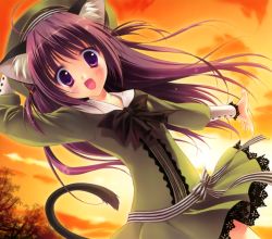 Rule 34 | 1girl, :d, absurdres, ahoge, animal ears, bow, cat ears, cat tail, dress, dusk, fang, female focus, green dress, hat, highres, lace, large bow, long hair, looking at viewer, open mouth, original, outdoors, purple eyes, purple hair, ribbon, ryouka (suzuya), sky, smile, solo, striped ribbon, tail, tareme, tree