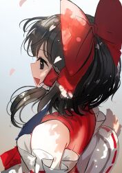 Rule 34 | 1girl, ascot, black eyes, black hair, blue ascot, bow, commentary request, detached sleeves, frilled bow, frilled hair tubes, frills, hair bow, hair tubes, hakurei reimu, highres, red bow, red shirt, ribbon-trimmed sleeves, ribbon trim, shirt, sleeveless, sleeveless shirt, solo, suna (s73d), touhou, upper body, white sleeves, wide sleeves