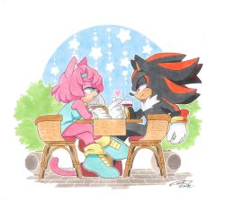 Rule 34 | 1boy, 1girl, character request, cup, dated, dating, drinking glass, drinking straw, finik, from side, furry, furry female, furry male, heart, highres, on chair, plant, potted plant, shadow the hedgehog, shoes, signature, sitting, sonic (series), table