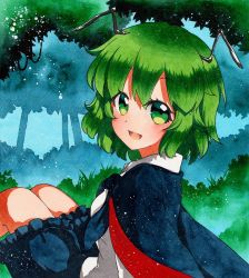 Rule 34 | 1girl, :d, antennae, arm support, bad id, bad pixiv id, blue cape, blue shorts, cape, collared shirt, forest, frilled shorts, frills, from side, green background, green eyes, green hair, green theme, hair between eyes, looking at viewer, looking to the side, nature, open mouth, outdoors, qqqrinkappp, shadow, shikishi, shirt, short hair, shorts, smile, solo, touhou, traditional media, tree, white shirt, wriggle nightbug