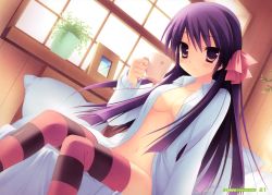 Rule 34 | 1girl, absurdres, blush, breasts, cafe sourire, coffee, collarbone, dress shirt, dutch angle, highres, long hair, looking at viewer, navel, no bra, no panties, on bed, open clothes, open shirt, purple hair, shirt, sitting, smile, solo, striped clothes, striped thighhighs, thighhighs, toranosuke, yukishita miyuri