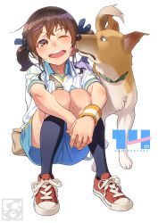Rule 34 | 1girl, aoi sora (pairan), brown eyes, brown hair, dog, gym uniform, hair ornament, hairclip, highres, open mouth, pairan, red footwear, shorts, teeth, text focus, twintails, white background, wristband