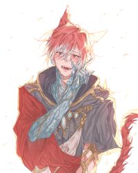 Rule 34 | 1boy, :d, animal ears, blush, cat ears, cat tail, crying, crystal exarch, fangs, final fantasy, final fantasy xiv, g&#039;raha tia, hair between eyes, looking at viewer, male focus, material growth, multicolored hair, open mouth, red eyes, red hair, smile, solo, tail, tears, tladpwl03, two-tone hair, white hair