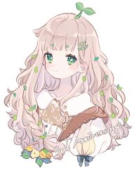 Rule 34 | 1girl, absurdres, blunt bangs, braid, closed mouth, collared shirt, green eyes, hair ornament, hairclip, highres, jikuno, light brown hair, long hair, looking at viewer, original, portrait, shirt, simple background, smile, solo, wavy hair, white background