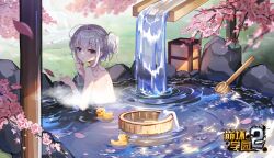 Rule 34 | 1girl, bare shoulders, bathing, benghuai xueyuan, branch, bronya zaychik, bucket, cherry blossoms, copyright name, grass, grey eyes, grey hair, hair between eyes, highres, honkai (series), lantern, logo, looking at viewer, looking back, official art, onsen, outdoors, petals, petals on liquid, rock, rubber duck, second-party source, solo, towel, water