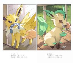 Rule 34 | 1boy, blush stickers, bright pupils, brown eyes, commentary request, creatures (company), fence, flower, game freak, gen 1 pokemon, gen 4 pokemon, grey eyes, jolteon, leafeon, long sleeves, male focus, mouth hold, newo (shinra-p), nintendo, petals, petting, pokemon, pokemon (creature), rope, shirt, sitting, standing, toes, translation request, white flower, white pupils, white shirt, wooden floor