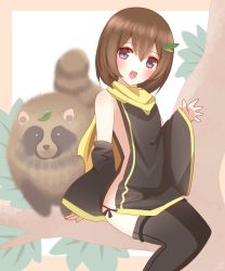 Rule 34 | 1girl, :d, absurdres, animal, bare shoulders, black dress, black sleeves, black thighhighs, blush, border, brown border, brown hair, detached sleeves, dress, hair between eyes, hair ornament, highres, in tree, leaf, leaf hair ornament, leaf on head, long sleeves, looking at viewer, ninja, non (wednesday-classic), open mouth, original, outside border, purple eyes, scarf, short hair, sitting, sitting in tree, sleeveless, sleeveless dress, sleeves past wrists, smile, solo, tabard, tanuki, thighhighs, tree, white background, wide sleeves, yellow scarf