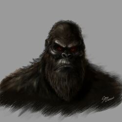 Rule 34 | absurdres, ape, artist name, beard, close-up, crossover, facial hair, facial scar, godzilla (series), godzilla vs. kong, gorilla, grey background, highres, kaijuu, king kong, king kong (series), kong: skull island, legendary pictures, looking at viewer, monster, monsterverse, no humans, red eyes, scar, scar across eye, scar on cheek, scar on face, scar on mouth, simple background, spacedragon14, toho