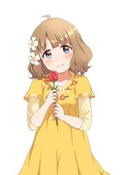 Rule 34 | 1girl, absurdres, ahoge, blue eyes, blush, brown hair, child, commentary, dot nose, dress, floral print, flower, hair flower, hair ornament, highres, holding, holding flower, idolmaster, idolmaster million live!, long sleeves, looking at viewer, red flower, red rose, rose, short hair, smile, solo, suou momoko, symbol-only commentary, wavy hair, white background, yellow dress, yukiho kotori