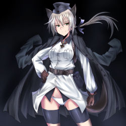 Rule 34 | 1girl, animal ears, belt, buckle, coat, cross, garrison cap, gloves, green eyes, grey hair, hair ribbon, hand on own hip, hanna rudel, hat, iron cross, jacket, jacket on shoulders, long hair, looking at viewer, military, military uniform, panties, ponytail, pouch, ribbon, scar, smile, solo, strike witches, strike witches: suomus misfits squadron, tail, thighhighs, ulrich (tagaragakuin), underwear, uniform, white panties, world witches series