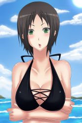 Rule 34 | 1girl, bikini, blush, breasts, cloud, green eyes, highres, large breasts, looking at viewer, m (masa11051105), marie (persona 4), ocean, outdoors, persona, persona 4, persona 4 the golden, short hair, sky, solo, swimsuit