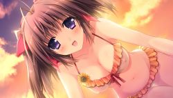 Rule 34 | 1girl, bare shoulders, berry&#039;s, bikini, blush, breasts, brown hair, cleavage, cloud, covered erect nipples, evening, game cg, happy, highres, hip focus, izuno youko, kokonobi, large breasts, long hair, looking at viewer, navel, open mouth, purple eyes, sky, solo, swimsuit, twintails