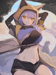 Rule 34 | 1girl, :3, absurdres, animal ears, animal hood, arknights, arms behind head, arms up, black shorts, blue sky, braid, breasts, brown coat, closed mouth, coat, commentary, cowboy shot, day, ears through headwear, groin, hair between eyes, hair over shoulder, highres, hood, hood up, hooded coat, large breasts, large tail, long hair, looking at viewer, midriff, navel, official alternate costume, outdoors, provence (arknights), provence (wasteland walker) (arknights), purple hair, short shorts, shorts, sidelocks, sinoda, sitting, sky, smile, solo, tail, underbust, wolf, wolf ears, wolf girl, wolf hood, wolf tail, yellow eyes