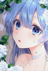 Rule 34 | 1girl, 58 (opal 00 58), :o, aqua eyes, aqua hair, bare shoulders, blue eyes, blue hair, choker, collarbone, commentary, dress, english commentary, eyelashes, flower, hair between eyes, hair flower, hair ornament, halter dress, halterneck, highres, leaf, long hair, looking at viewer, open mouth, original, rose, sidelocks, sleeveless, sleeveless dress, solo, upper body, water drop, white choker, white dress, white flower, white rose