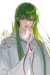 Rule 34 | 1other, ambiguous gender, androgynous, chinese text, enkidu (fate), fate/grand order, fate/strange fake, fate (series), green eyes, green hair, guaisanmu, hand up, highres, light, long hair, robe, simple background, solo, toga, type-moon, upper body, very long hair, white background